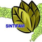 SINTIFAVI